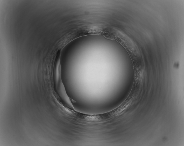 X0000097970281200803241242