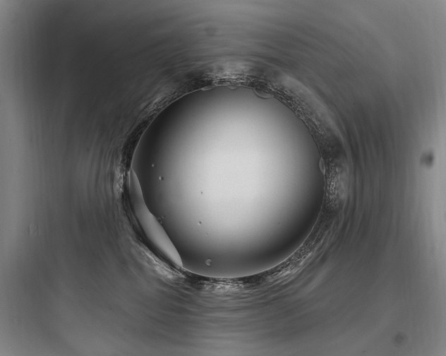 X0000097970282200803241242