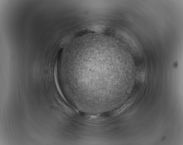 X0000097970285200803241242