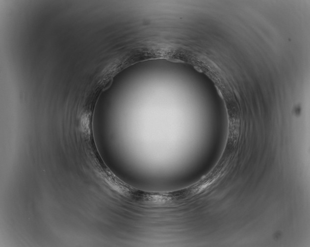 X0000097970286200803241242
