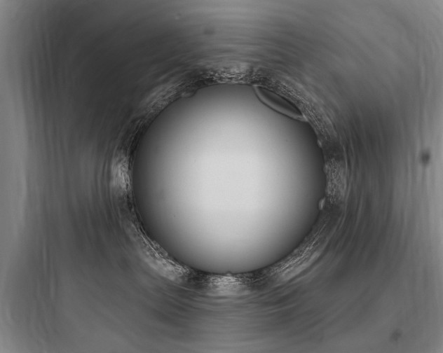 X0000097970287200803241242