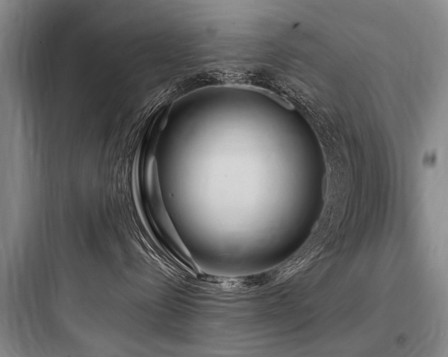 X0000097970288200803241242
