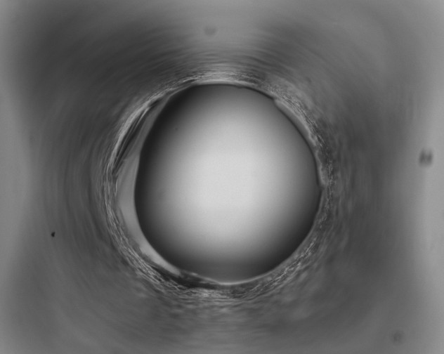 X0000097970289200803241242