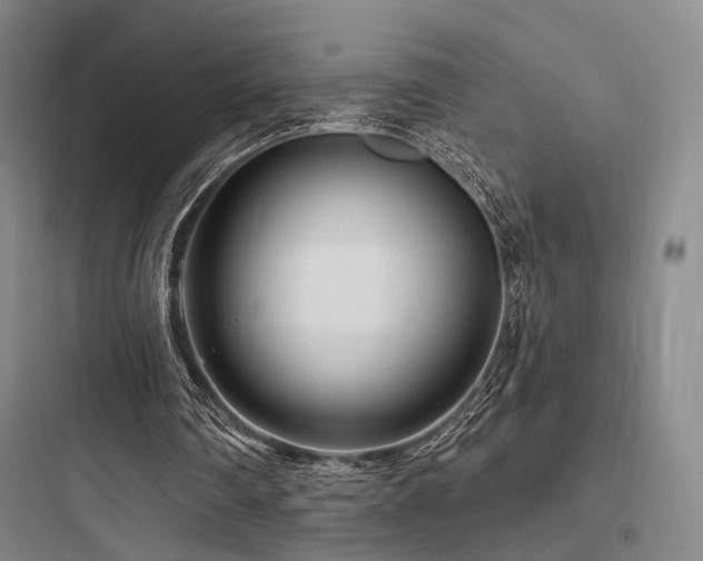 X0000097970290200803241242