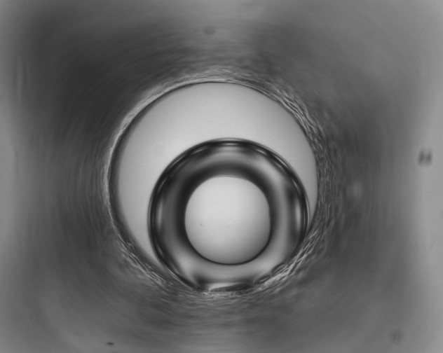 X0000097970292200803241242