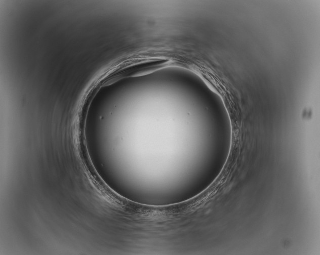 X0000097970293200803241242