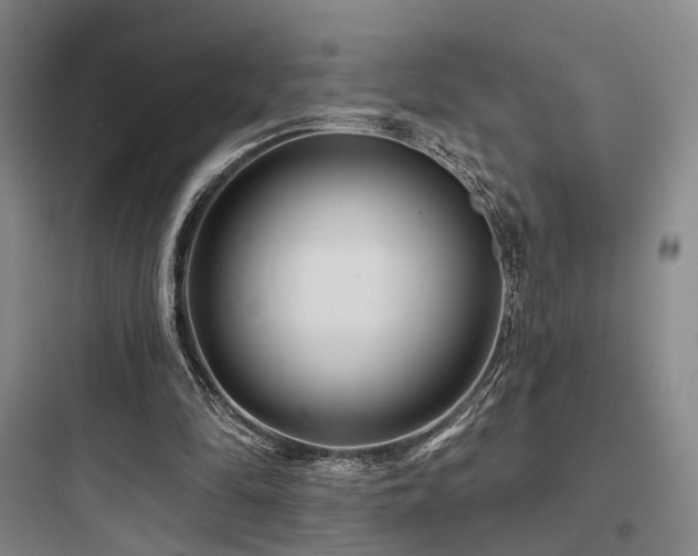 X0000097970294200803241242