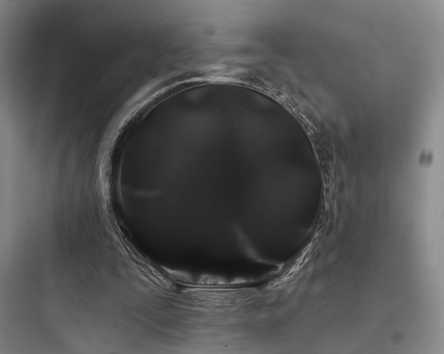 X0000097970295200803241242
