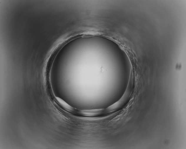 X0000097970296200803241242