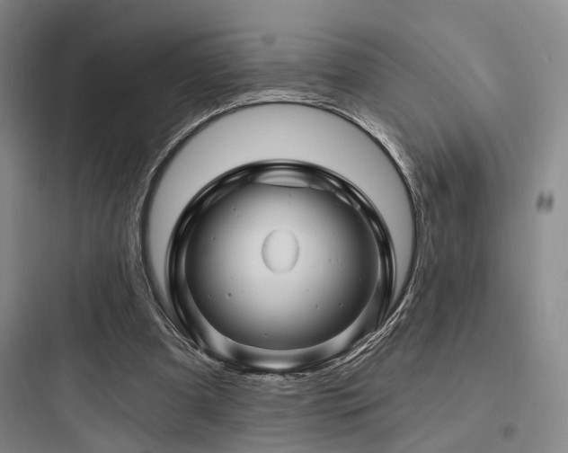 X0000097970297200803241242