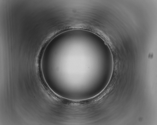 X0000097970298200803241242