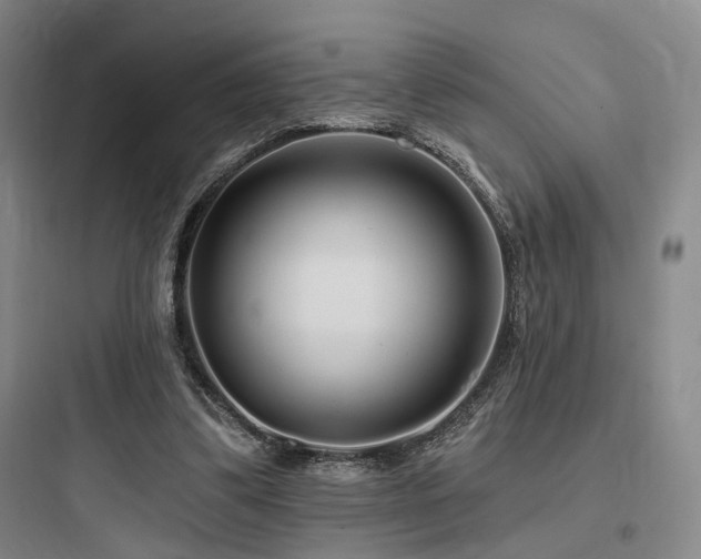 X0000097970299200803241242
