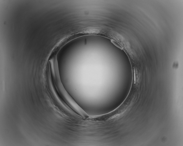 X0000097970300200803241241