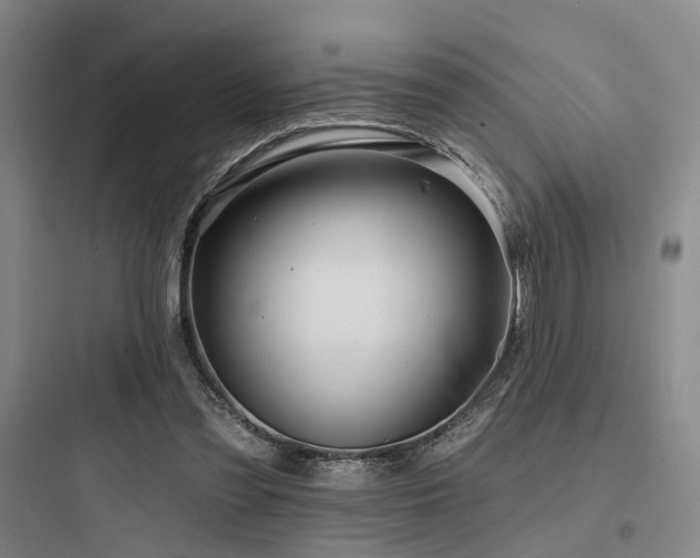 X0000097970301200803241241