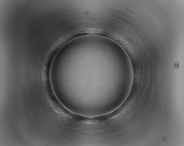 X0000097970303200803241241