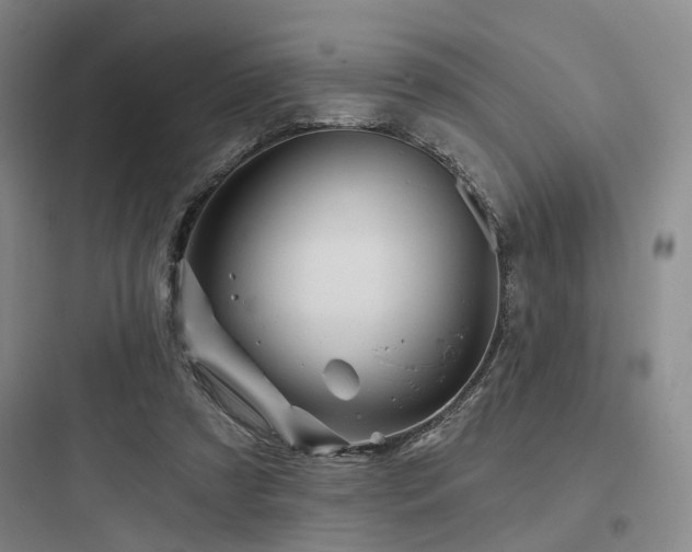 X0000097970305200803241241