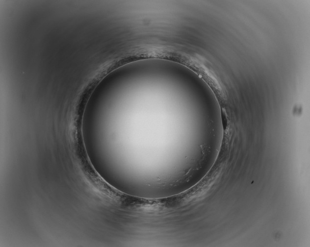 X0000097970306200803241241