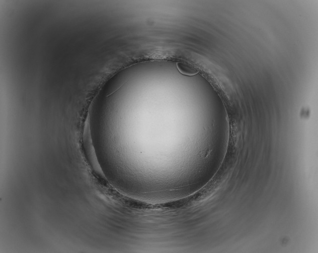 X0000097970307200803241241