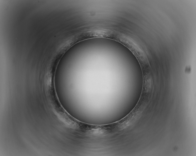 X0000097970310200803241241