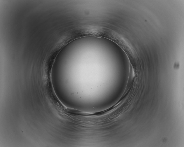X0000097970312200803241241
