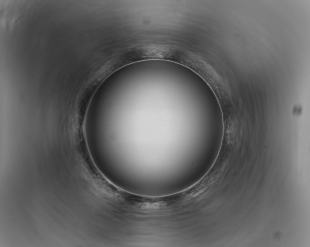 X0000097970314200803241241