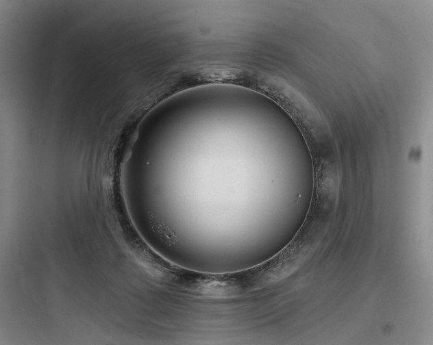 X0000097970315200803241241