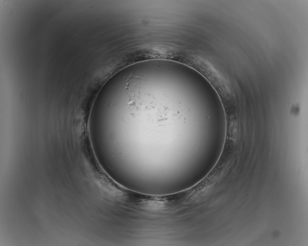 X0000097970318200803241241