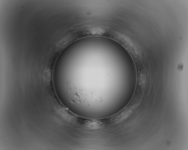 X0000097970321200803241241