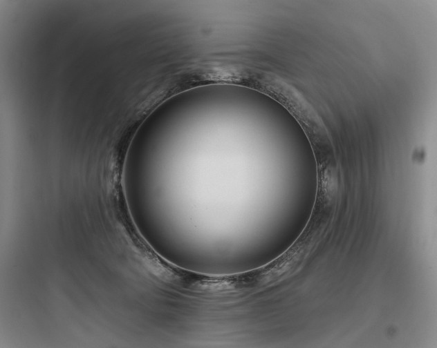 X0000097970322200803241241