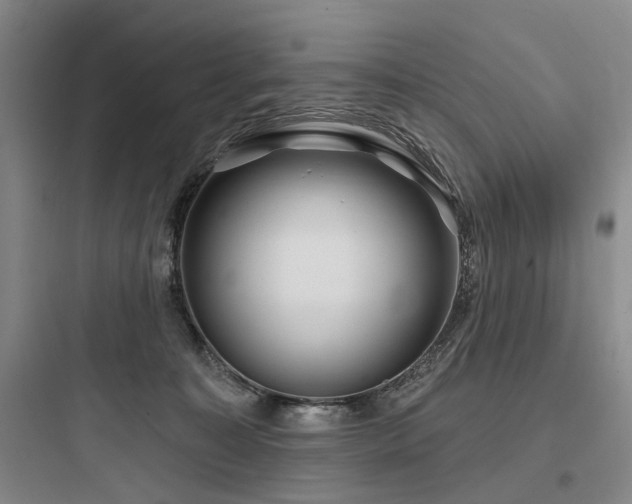 X0000097970323200803241241