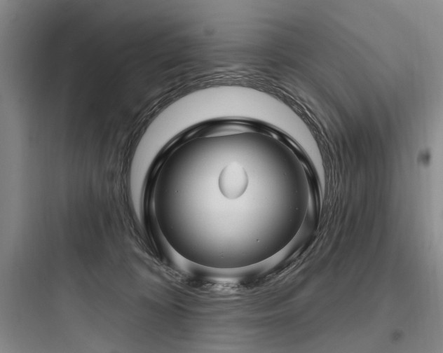 X0000097970324200803241241