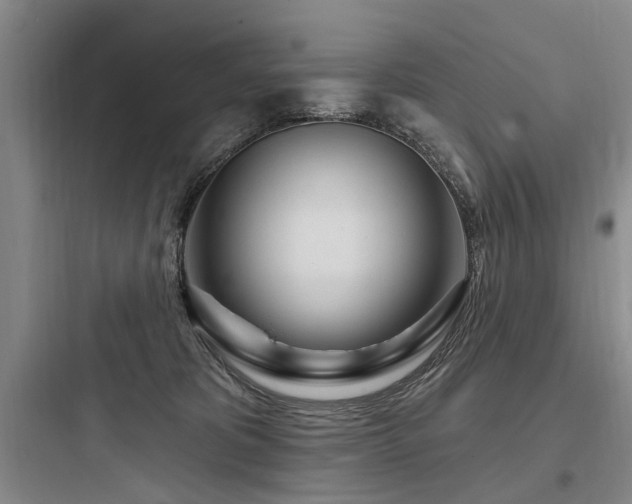 X0000097970325200803241241