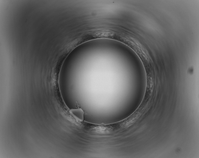 X0000097970326200803241241