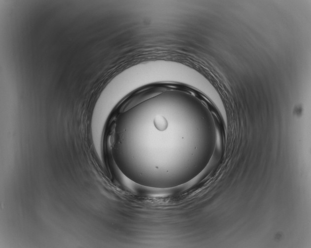 X0000097970328200803241241