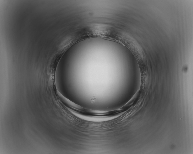 X0000097970329200803241241