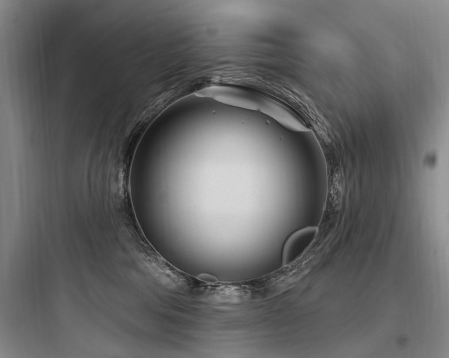 X0000097970330200803241241