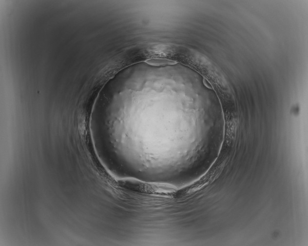 X0000097970331200803241241