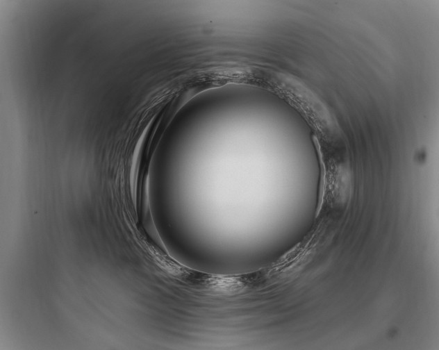 X0000097970333200803241241