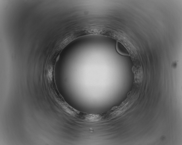 X0000097970334200803241241