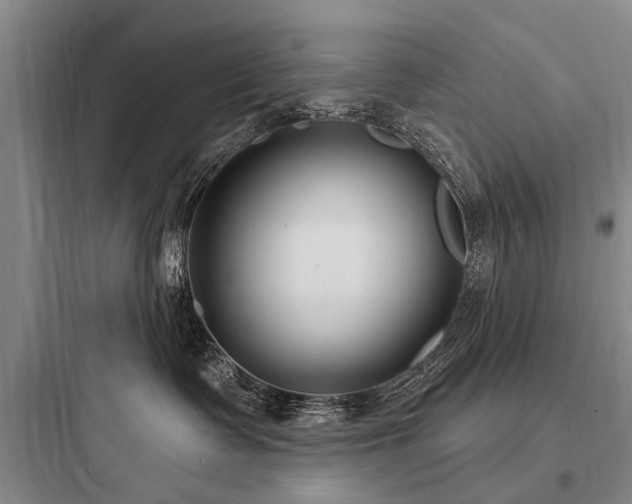 X0000097970335200803241241