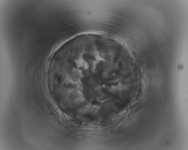 X0000097970337200803241240