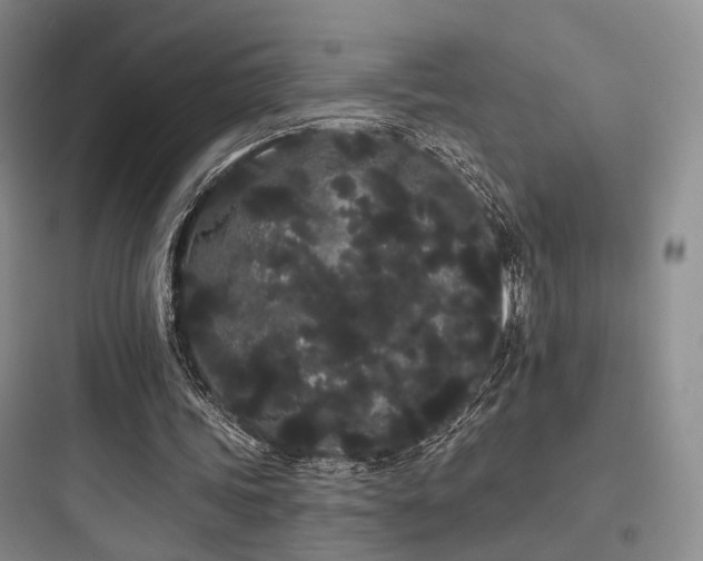X0000097970339200803241240