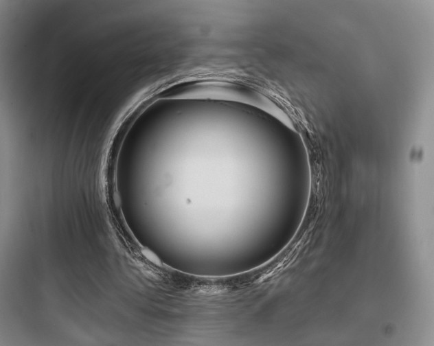 X0000097970340200803241240