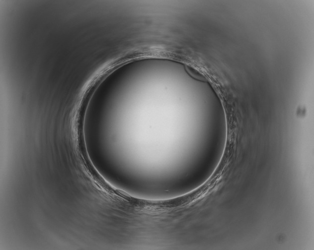 X0000097970341200803241240