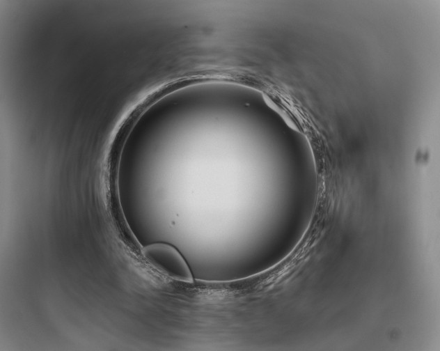 X0000097970342200803241240