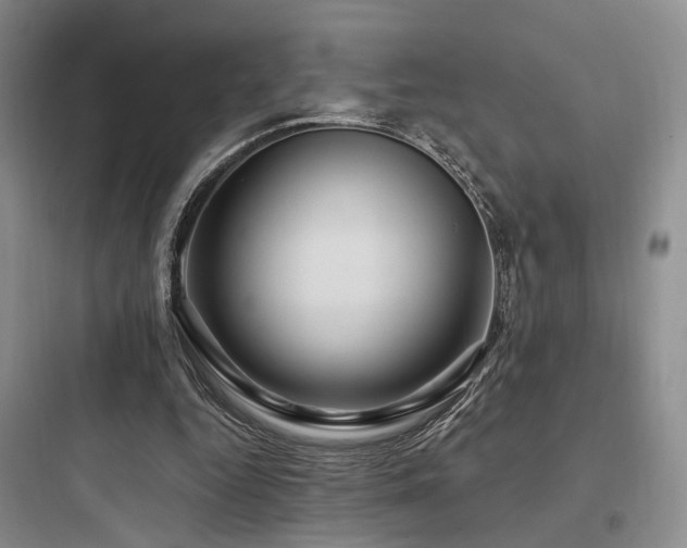 X0000097970344200803241240