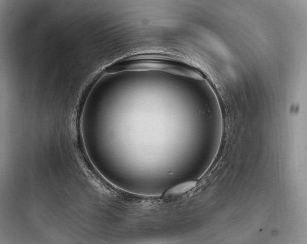 X0000097970345200803241240