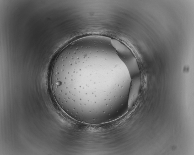 X0000097970346200803241240