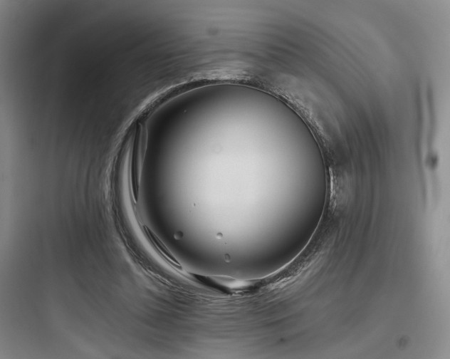 X0000097970348200803241240