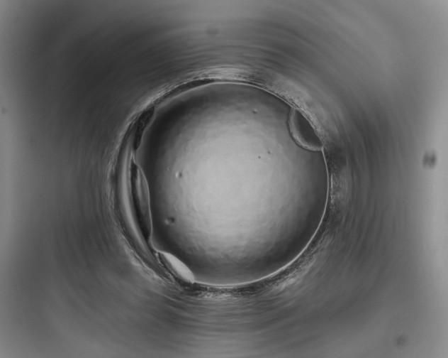 X0000097970349200803241240